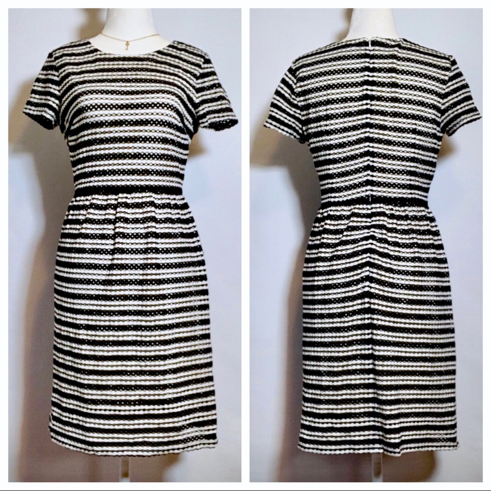 Ann Taylor Striped Lacey Day Dress ❤️